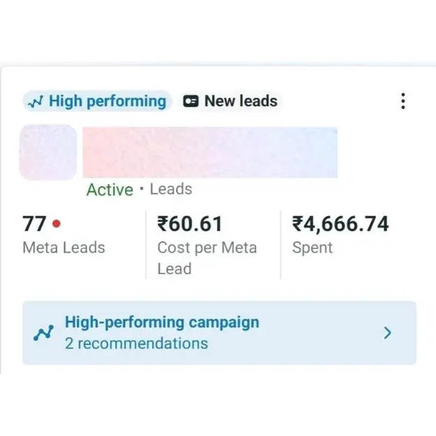 Meta Ads campaign management for a business